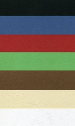 Argo Karton Delta Skóropodobny A4 Zielony 100 Szt./Op.