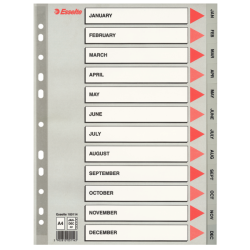 Przekładki Esselte Z Pp, A4 Szary
