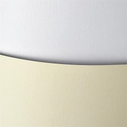 Galeria Papieru Karton ozdobny A4 Kora biały 20 szt./op. 230 g/m