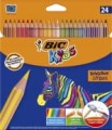 BIC24.jpg