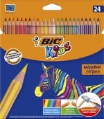 BIC24.jpg