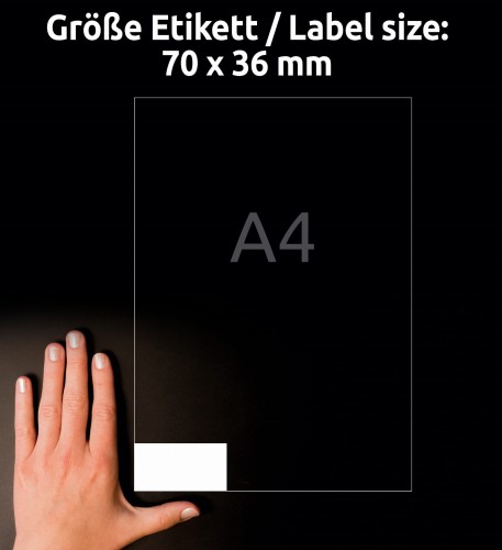 3_6122_4004182433089.jpg