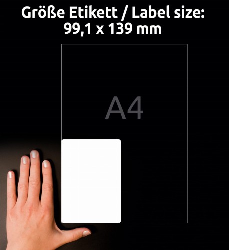 3_L4774-20_4004182047743.jpg