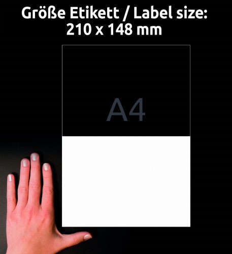 3_6604_4004182066041.jpg