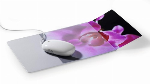 72cb7c00-8356-4749-8602-42b6836fc91f