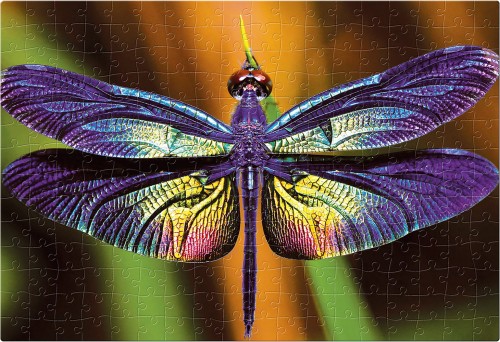 Puzzle 250 Colourful Nature 3 Dragonfly 5902277342010 (2).jpg