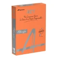 320457-350619-papier_ksero_rey_adagio_a4_80gsm_21_pomaranc-800w.jpg