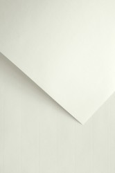 Galeria Papieru Papier ozdobny Laid beżowy 50 szt./op. 110 g/m2