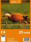 Koperta Biała C-4  Sk  Opakowanie Foliowe  25szt.