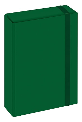 Teczka z gumką A4 TO Box zielona 5902277320360.jpg