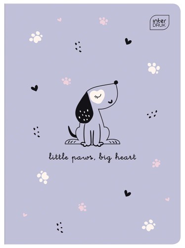 Zeszyt A5 16 kolorowa 3= UV Piccolo 5902277366467 (3).jpg