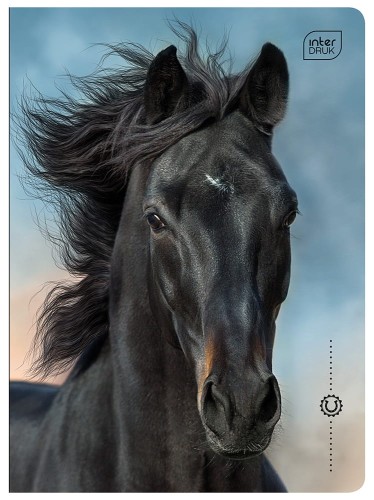 Zeszyt A5 16 kolorowa 3= UV Wild Horses 5902277366450 (1).jpg