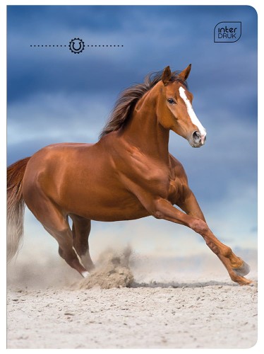 Zeszyt A5 16 kolorowa 3= UV Wild Horses 5902277366450 (3).jpg