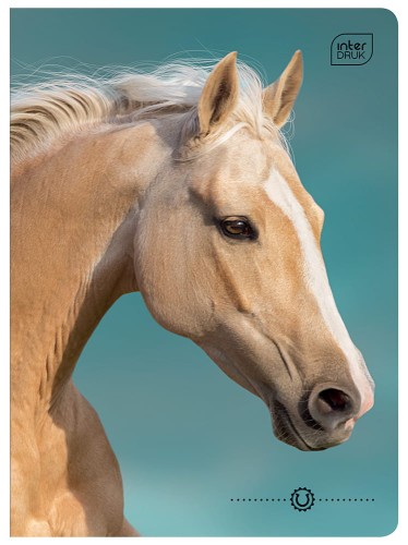 Zeszyt A5 16# UV Wild Horses 5902277366320 (2).jpg
