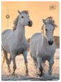 Zeszyt A5 16# UV Wild Horses 5902277366320 -1.jpg