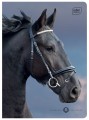 Zeszyt A5 16# UV Wild Horses 5902277366320 -3.jpg