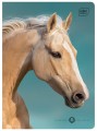 Zeszyt A5 16# UV Wild Horses 5902277366320 -4.jpg