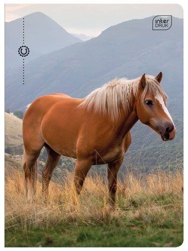 Zeszyt A5 32 kolorowa 3= UV Wild Horses 5902277366733 (1).jpg