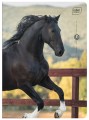 Zeszyt A5 32 kolorowa 3= UV Wild Horses 5902277366733 (3).jpg