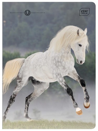 Zeszyt A5 32 kolorowa 3= UV Wild Horses 5902277366733 (6).jpg