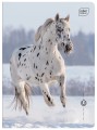 Zeszyt A5 32 kolorowa 3= UV Wild Horses 5902277366733 (8).jpg