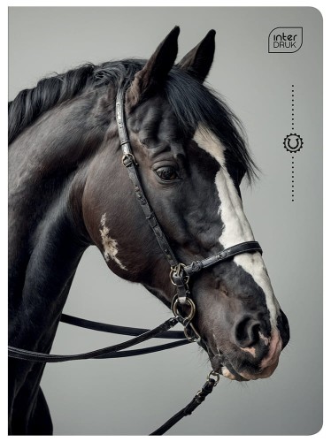 Zeszyt A5 32# UV Wild Horses 5902277366573 (1).jpg