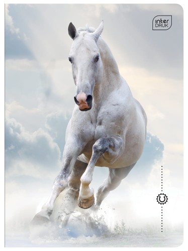 Zeszyt A5 32# UV Wild Horses 5902277366573 (3).jpg