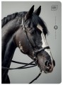 Zeszyt A5 32# UV Wild Horses 5902277366573 -1.jpg