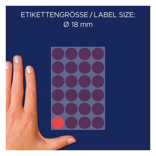 3595_4004182035955_groesse.jpg