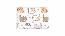 BIURFOL OKŁADKA NA DOKUMENTY UCZNIA MAŁE Z NADRUKIEM KITTENS