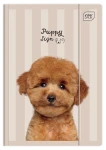 Teczka Z Gumką A4 + Lux Uv Kolekcja Puppy Sign Interdruk 
