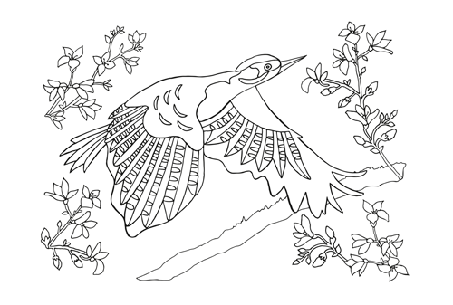GAL-101(2).png