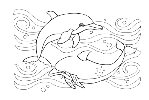 GAL-103(2).png