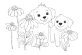 GAL-104(2).png