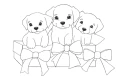 GAL-104(4).png