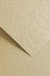 Galeria Papieru Karton ozdobny Ryps jasnobeżowy 20 szt./op. 250 g/m2