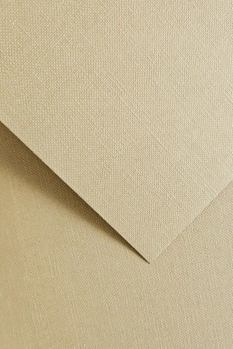 Galeria Papieru Karton ozdobny Ryps jasnobeżowy 20 szt./op. 250 g/m2