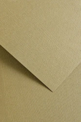 Galeria Papieru Karton ozdobny Ryps ciemnobeżowy 20 szt./op. 250 g/m2