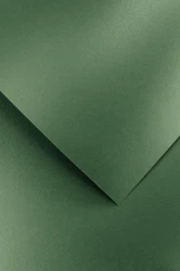 Galeria Papieru Karton ozdobny Brillo zielony  20 szt./op. 200 g/m2