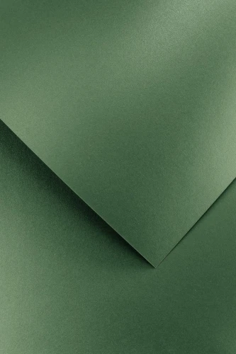 Galeria Papieru Karton ozdobny Brillo zielony  20 szt./op. 200 g/m2