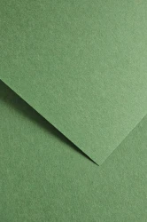 Galeria Papieru Karton ozdobny Earth zielony 20 szt./op. 220 g/m2