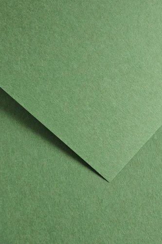 Galeria Papieru Karton ozdobny Earth zielony 20 szt./op. 220 g/m2