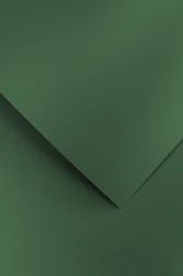 Galeria Papieru Karton ozdobny Pearl zielony 20 szt./op. 210 g/m2
