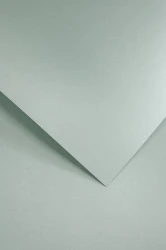 Galeria Papieru Karton ozdobny Mika szary 20 szt./op. 240 g/m2