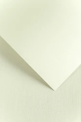 Galeria Papieru Karton ozdobny Kratka kremowy 20 szt./op. 240 g/m2