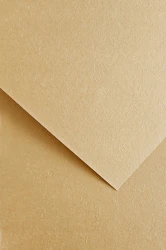 Galeria Papieru Karton ozdobny Wood beżowy 20 szt./op. 220g/m2