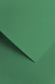 Papier-ozdobny-A4-Sawanna-zielony-220-g-20-arkuszy.JPG