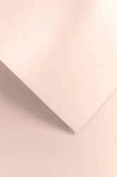 Galeria Papieru Karton ozdobny Millenium różowy 20 szt./op. 220g/m2