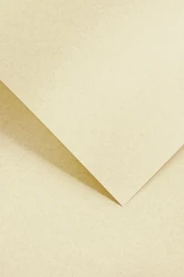 Galeria Papieru Karton ozdobny Nature beżowy 20 szt./op. 220g/m2