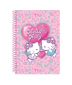 HELLO KITTY - KOŁOBRULION B5 /100 K/PLASTIKOWA SPIRALA/KRATKA - WZÓR 1 - PINK 1 /24/
